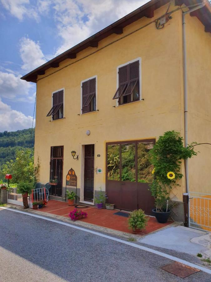 Il Girasole ...At Andorus' House Bed & Breakfast Erli Exterior photo