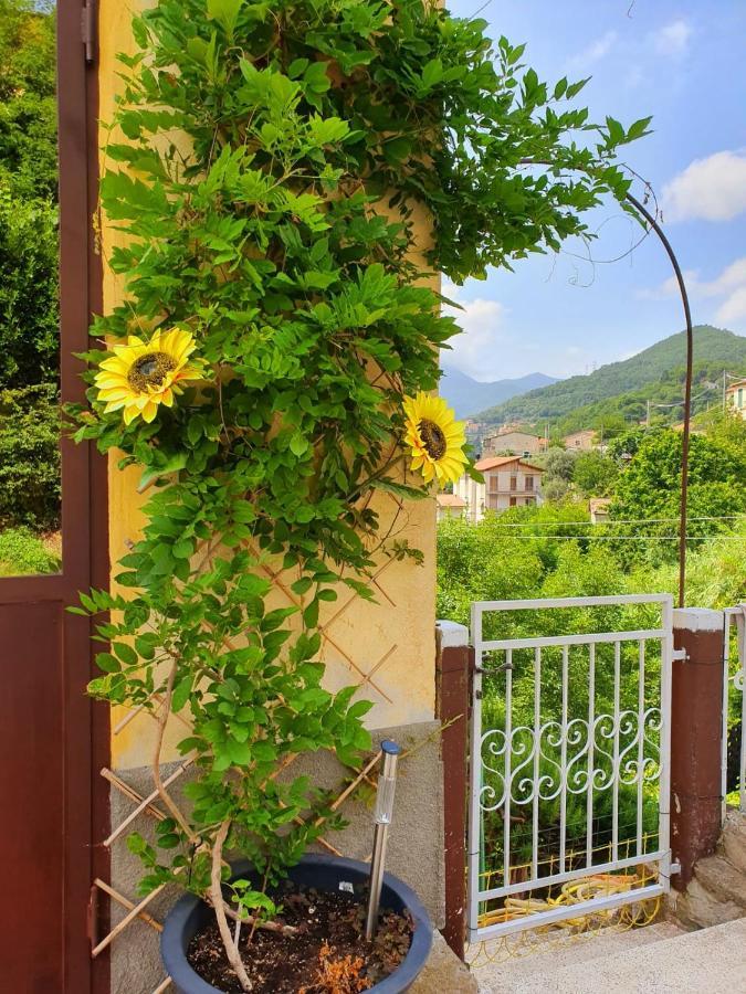 Il Girasole ...At Andorus' House Bed & Breakfast Erli Exterior photo